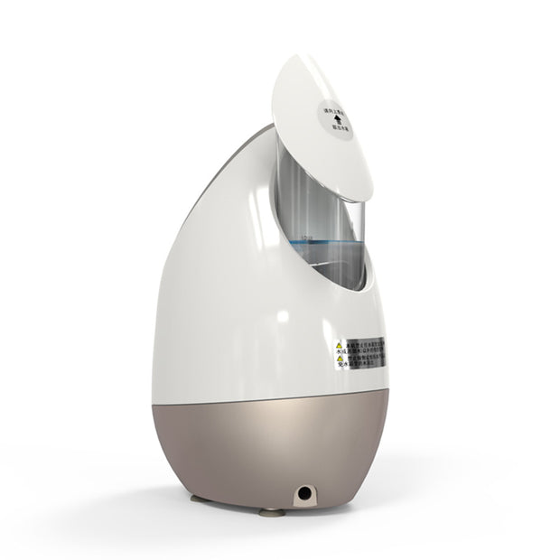 Ionic Deep Cleaning Facial Steamer
